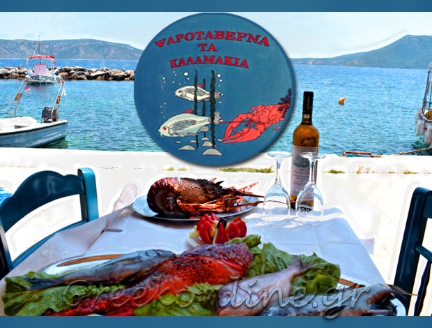 ΨΑΡΟΤΑΒΕΡΝΑ ΑΛΟΝΝΗΣΟΣ “ΤΑ ΚΑΛΑΜΑΚΙΑ” ΠΑΠΑΒΑΣΙΛΕΙΟΥ ΝΙΚΟΛΑΟΣ