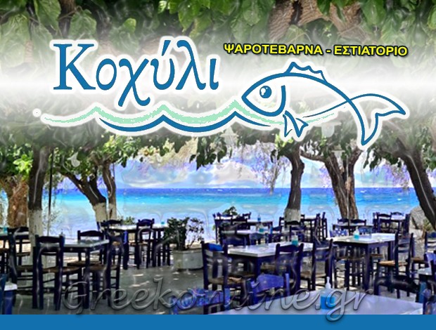 ΨΑΡΟΤΑΒΕΡΝΑ ΔΙΑΚΟΠΤΟ ΑΧΑΪΑΣ  “ΚΟΧΥΛΙ”  ΧΑΤΖΗΣ ΑΝΔΡΕΑΣ