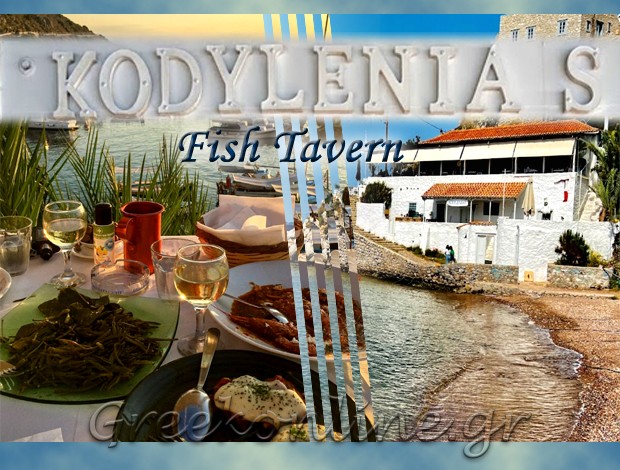 ΨΑΡΟΤΑΒΕΡΝΑ ΥΔΡΑ  “KODYLENIA’S”  ΒΛΑΧΟΔΗΜΗΤΡΗΣ ΔΗΜΗΤΡΙΟΣ