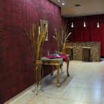 ΑΙΘΟΥΣΑ-ΔΕΞΙΩΣΕΩΝ-ΓΙΑΝΝΙΤΣΑ-ΜΕΓΑΡΟ