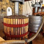 ΟΙΝΟΠΟΙΕΙΟ-ΛΕΙΨΟΙ-NICO-GRYLLI-WINERY-ΓΡΥΛΛΗΣ