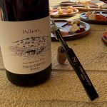ΟΙΝΟΠΟΙΕΙΟ-ΛΕΙΨΟΙ-NICO-GRYLLI-WINERY-ΓΡΥΛΛΗΣ
