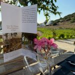 ΟΙΝΟΠΟΙΕΙΟ-ΛΕΙΨΟΙ-NICO-GRYLLI-WINERY-ΓΡΥΛΛΗΣ