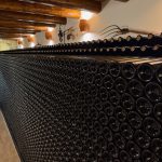 ΟΙΝΟΠΟΙΕΙΟ-ΛΕΙΨΟΙ-NICO-GRYLLI-WINERY-ΓΡΥΛΛΗΣ