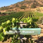 ΟΙΝΟΠΟΙΕΙΟ-ΛΕΙΨΟΙ-NICO-GRYLLI-WINERY-ΓΡΥΛΛΗΣ