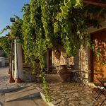 ΟΙΝΟΠΟΙΕΙΟ-ΛΕΙΨΟΙ-NICO-GRYLLI-WINERY-ΓΡΥΛΛΗΣ