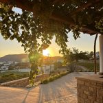ΟΙΝΟΠΟΙΕΙΟ-ΛΕΙΨΟΙ-NICO-GRYLLI-WINERY-ΓΡΥΛΛΗΣ
