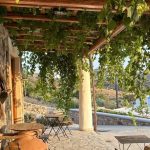 ΟΙΝΟΠΟΙΕΙΟ-ΛΕΙΨΟΙ-NICO-GRYLLI-WINERY-ΓΡΥΛΛΗΣ