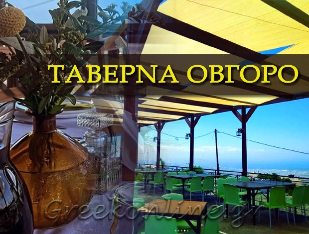 ΕΣΤΙΑΤΟΡΙΟ ΜΑΛΑΞΑ ΧΑΝΙΩΝ  “ΤΑΒΕΡΝΑ ΟΒΓΟΡΟ”  ΜΠΡΑΟΥΔΑΚΗ ΑΙΚΑΤΕΡΙΝΗ