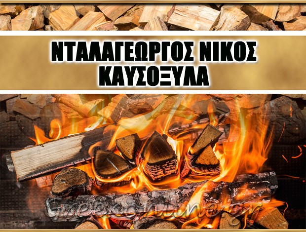 ΚΑΥΣΟΞΥΛΑ ΤΡΙΚΑΛΑ ΝΤΑΛΑΓΕΩΡΓΟΣ ΝΙΚΟΣ