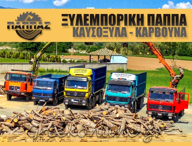 ΚΑΥΣΟΞΥΛΑ – ΚΑΡΒΟΥΝΑ ΠΟΛΥΚΑΣΤΡΟ ΚΙΛΚΙΣ “ΞΥΛΕΜΠΟΡΙΚΗ ΠΑΠΠΑΣ” ΑΙΚΑΤΕΡΙΝΗ ΠΑΠΠΑ