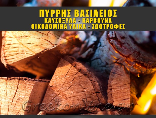 ΚΑΥΣΟΞΥΛΑ – ΚΑΡΒΟΥΝΑ ΣΑΓΑΙΪΚΑ ΑΧΑΪΑΣ ΠΥΡΡΗΣ ΒΑΣΙΛΕΙΟΣ