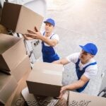 ΕΘΝΙΚΕΣ-ΜΕΤΑΦΟΡΕΣ-ΟΙΝΟΦΥΤΑ-IRA-ΜΕΤΑΦΟΡΕΣ-ΜΙΚΕ