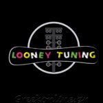 ΣΥΝΕΡΓΕΙΟ-ΑΥΤΟΚΙΝΗΤΩΝ-ΑΙΓΙΝΑ-LOONEY-TUNING-ΛΙΟΝΤΟΣ
