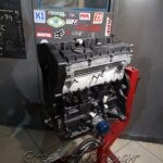 ΣΥΝΕΡΓΕΙΟ-ΑΥΤΟΚΙΝΗΤΩΝ-ΑΙΓΙΝΑ-LOONEY-TUNING-ΛΙΟΝΤΟΣ