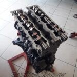 ΣΥΝΕΡΓΕΙΟ-ΑΥΤΟΚΙΝΗΤΩΝ-ΑΙΓΙΝΑ-LOONEY-TUNING-ΛΙΟΝΤΟΣ