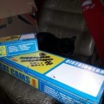 ΣΥΝΕΡΓΕΙΟ-ΑΥΤΟΚΙΝΗΤΩΝ-ΑΙΓΙΝΑ-LOONEY-TUNING-ΛΙΟΝΤΟΣ