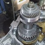 ΣΥΝΕΡΓΕΙΟ-ΑΥΤΟΚΙΝΗΤΩΝ-ΑΙΓΙΝΑ-LOONEY-TUNING-ΛΙΟΝΤΟΣ