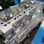 ΣΥΝΕΡΓΕΙΟ-ΑΥΤΟΚΙΝΗΤΩΝ-ΑΙΓΙΝΑ-LOONEY-TUNING-ΛΙΟΝΤΟΣ