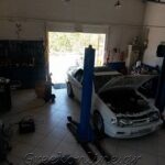 ΣΥΝΕΡΓΕΙΟ-ΑΥΤΟΚΙΝΗΤΩΝ-ΑΙΓΙΝΑ-LOONEY-TUNING-ΛΙΟΝΤΟΣ