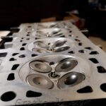 ΣΥΝΕΡΓΕΙΟ-ΑΥΤΟΚΙΝΗΤΩΝ-ΑΙΓΙΝΑ-LOONEY-TUNING-ΛΙΟΝΤΟΣ