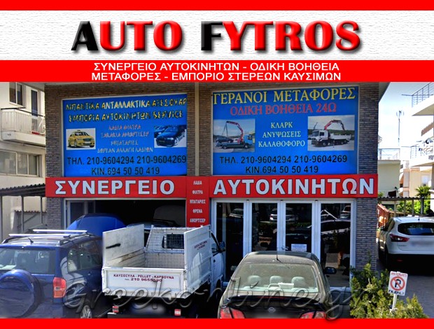 ΣΥΝΕΡΓΕΙΟ ΑΥΤΟΚΙΝΗΤΩΝ ΑΡΓΥΡΟΥΠΟΛΗ  “AUTO FYTROS”  ΦΥΤΡΟΣ Π. – ΔΩΡΟΒΙΝΗΣ Δ.