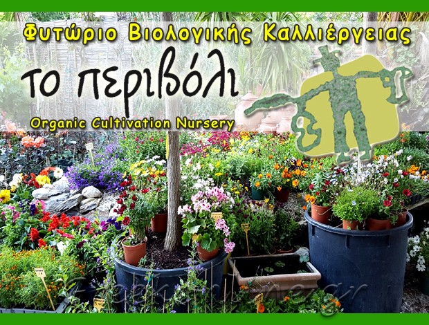 ΦΥΤΩΡΙΟ ΑΜΟΡΓΟΣ “ΤΟ ΠΕΡΙΒΟΛΙ” ΔΕΣΠΟΤΙΔΗΣ ΑΝΤΩΝΙΟΣ
