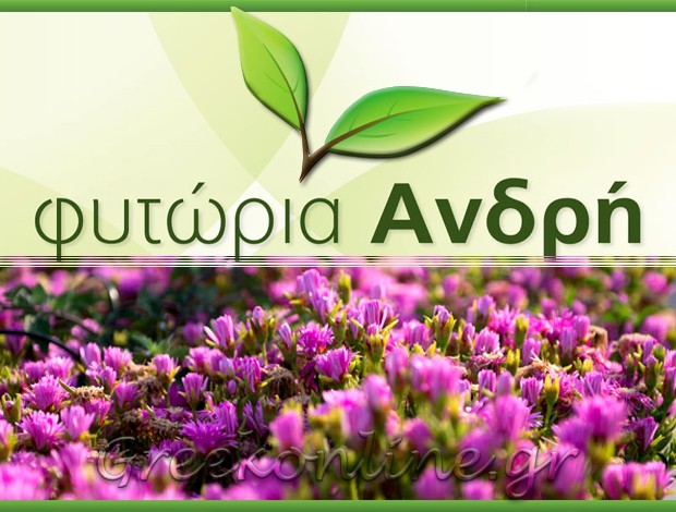 ΠΑΡΑΓΩΓΗ ΦΥΤΩΝ  ΚΑΤΩ ΣΟΥΛΙ ΑΤΤΙΚΗΣ  “ΦΥΤΩΡΙΑ ΑΝΔΡΗ”