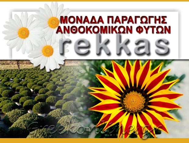 ΦΥΤΩΡΙΟ ΒΑΣΙΛΙΚΑ ΘΕΣΣΑΛΟΝΙΚΗΣ ΡΕΚΚΑΣ ΔΗΜΗΤΡΙΟΣ