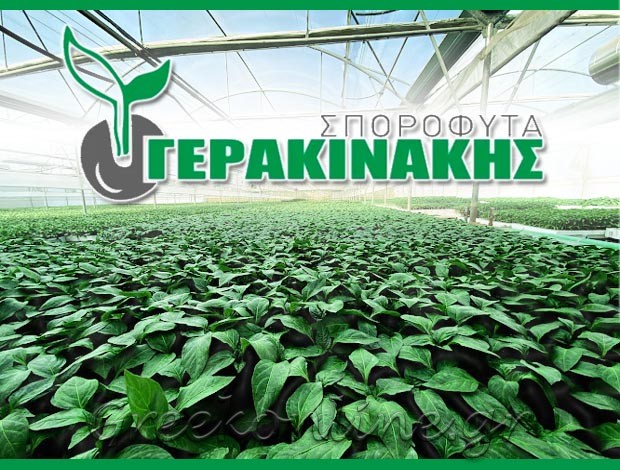 ΦΥΤΩΡΙΟ ΕΠΑΝΟΜΗ ΘΕΣΣΑΛΟΝΙΚΗΣ  “ΣΠΟΡΟΦΥΤΑ ΓΕΡΑΚΙΝΑΚΗΣ”  ΓΕΡΑΚΙΝΑΚΗΣ ΕΜΜΑΝΟΥΗΛ