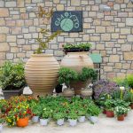 ΦΥΤΩΡΙΟ-ΠΕΡΙΣΤΕΡΙ-ΣΚΑΛΑ-ΛΑΚΩΝΙΑΣ-ΕΜΦΥΤΟ-ΚΟΥΡΛΑ