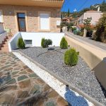 ΦΥΤΩΡΙΟ-ΠΕΡΙΣΤΕΡΙ-ΣΚΑΛΑ-ΛΑΚΩΝΙΑΣ-ΕΜΦΥΤΟ-ΚΟΥΡΛΑ