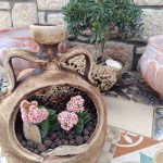 ΦΥΤΩΡΙΟ-ΠΕΡΙΣΤΕΡΙ-ΣΚΑΛΑ-ΛΑΚΩΝΙΑΣ-ΕΜΦΥΤΟ-ΚΟΥΡΛΑ