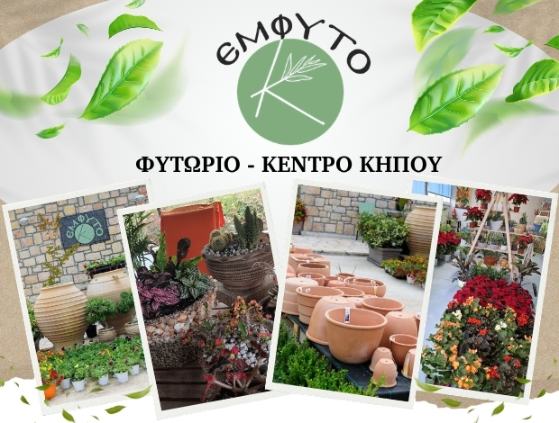 ΦΥΤΩΡΙΟ ΠΕΡΙΣΤΕΡΙ ΛΑΚΩΝΙΑΣ  “EMFYTO ΚΟΥΡΛΑ”  ΚΟΥΡΛΑ ΧΑΡΙΚΛΕΙΑ