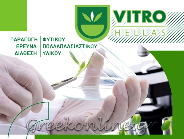 ΦΥΤΙΚΟ ΠΟΛΛΑΠΛΑΣΙΑΣΤΙΚΟ ΥΛΙΚΟ  ΝΗΣΕΛΙ ΑΛΕΞΑΝΔΡΕΙΑ ΗΜΑΘΙΑΣ  “VITRO HELLAS”  ΒΙΤΡΟ ΕΛΛΑΣ ΑΕ