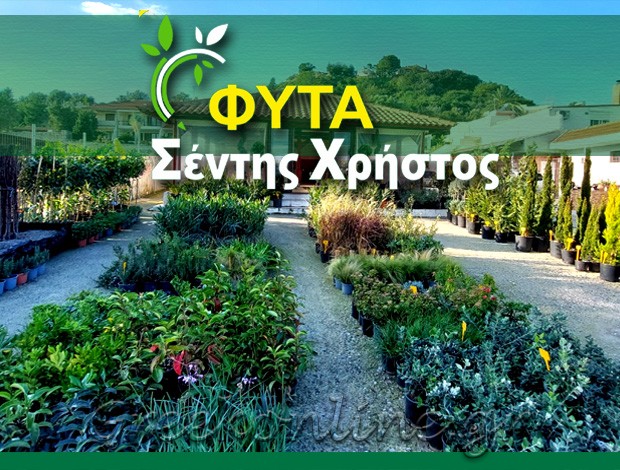 ΦΥΤΩΡΙΟ ΑΦΑΝΤΟΥ ΡΟΔΟΣ ΣΕΝΤΗΣ ΧΡΗΣΤΟΣ