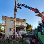 ΚΑΤΑΣΚΕΥΗ-ΚΗΠΩΝ-ΔΙΑΚΟΠΤΟ-ΤΕΧΝΟΚΗΠΟΥΡΙΚΗ-ΑΓΓΕΛΟΠΟΥΛΟΣ