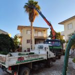 ΚΑΤΑΣΚΕΥΗ-ΚΗΠΩΝ-ΔΙΑΚΟΠΤΟ-ΤΕΧΝΟΚΗΠΟΥΡΙΚΗ-ΑΓΓΕΛΟΠΟΥΛΟΣ