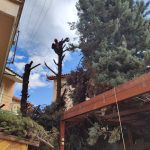 ΚΑΤΑΣΚΕΥΗ-ΚΗΠΩΝ-ΔΙΑΚΟΠΤΟ-ΤΕΧΝΟΚΗΠΟΥΡΙΚΗ-ΑΓΓΕΛΟΠΟΥΛΟΣ