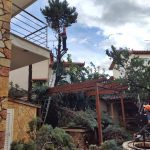 ΚΑΤΑΣΚΕΥΗ-ΚΗΠΩΝ-ΔΙΑΚΟΠΤΟ-ΤΕΧΝΟΚΗΠΟΥΡΙΚΗ-ΑΓΓΕΛΟΠΟΥΛΟΣ