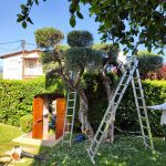 ΚΑΤΑΣΚΕΥΗ-ΚΗΠΩΝ-ΔΙΑΚΟΠΤΟ-ΤΕΧΝΟΚΗΠΟΥΡΙΚΗ-ΑΓΓΕΛΟΠΟΥΛΟΣ