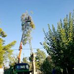 ΚΑΤΑΣΚΕΥΗ-ΚΗΠΩΝ-ΔΙΑΚΟΠΤΟ-ΤΕΧΝΟΚΗΠΟΥΡΙΚΗ-ΑΓΓΕΛΟΠΟΥΛΟΣ