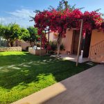 ΚΑΤΑΣΚΕΥΗ-ΚΗΠΩΝ-ΔΙΑΚΟΠΤΟ-ΤΕΧΝΟΚΗΠΟΥΡΙΚΗ-ΑΓΓΕΛΟΠΟΥΛΟΣ