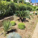 ΚΑΤΑΣΚΕΥΗ-ΚΗΠΩΝ-ΔΙΑΚΟΠΤΟ-ΤΕΧΝΟΚΗΠΟΥΡΙΚΗ-ΑΓΓΕΛΟΠΟΥΛΟΣ