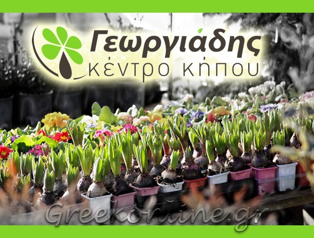ΦΥΤΩΡΙΟ ΑΡΙΔΑΙΑ ΠΕΛΛΑΣ  “ΓΕΩΡΓΙΑΔΗΣ ΚΕΝΤΡΟ ΚΗΠΟΥ”  ΣΙΑΜΠΑΝΟΠΟΥΛΟΥ ΕΥΑΓΓΕΛΙΑ