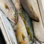 ΕΣΤΙΑΤΟΡΙΟ-ΓΕΝΝΑΔΙ-ΡΟΔΟΣ-ANGELAKI-TAVERNA