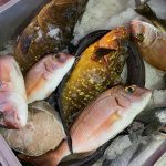 ΕΣΤΙΑΤΟΡΙΟ-ΓΕΝΝΑΔΙ-ΡΟΔΟΣ-ANGELAKI-TAVERNA