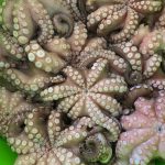 ΕΣΤΙΑΤΟΡΙΟ-ΓΕΝΝΑΔΙ-ΡΟΔΟΣ-ANGELAKI-TAVERNA