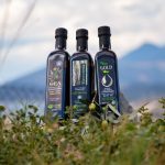 Elaiotriveio-Poros-Koutouzis-Olive-Oil-(6)