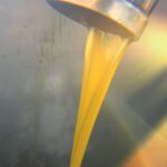 ΕΛΑΙΟΤΡΙΒΕΙΟ ΚΩΜΗ ΜΥΤΙΛΗΝΗΣ ΚΑΛΑΦΑΤΗΣ ΓΙΑΚΑΛΗ ΟΕ (10)
